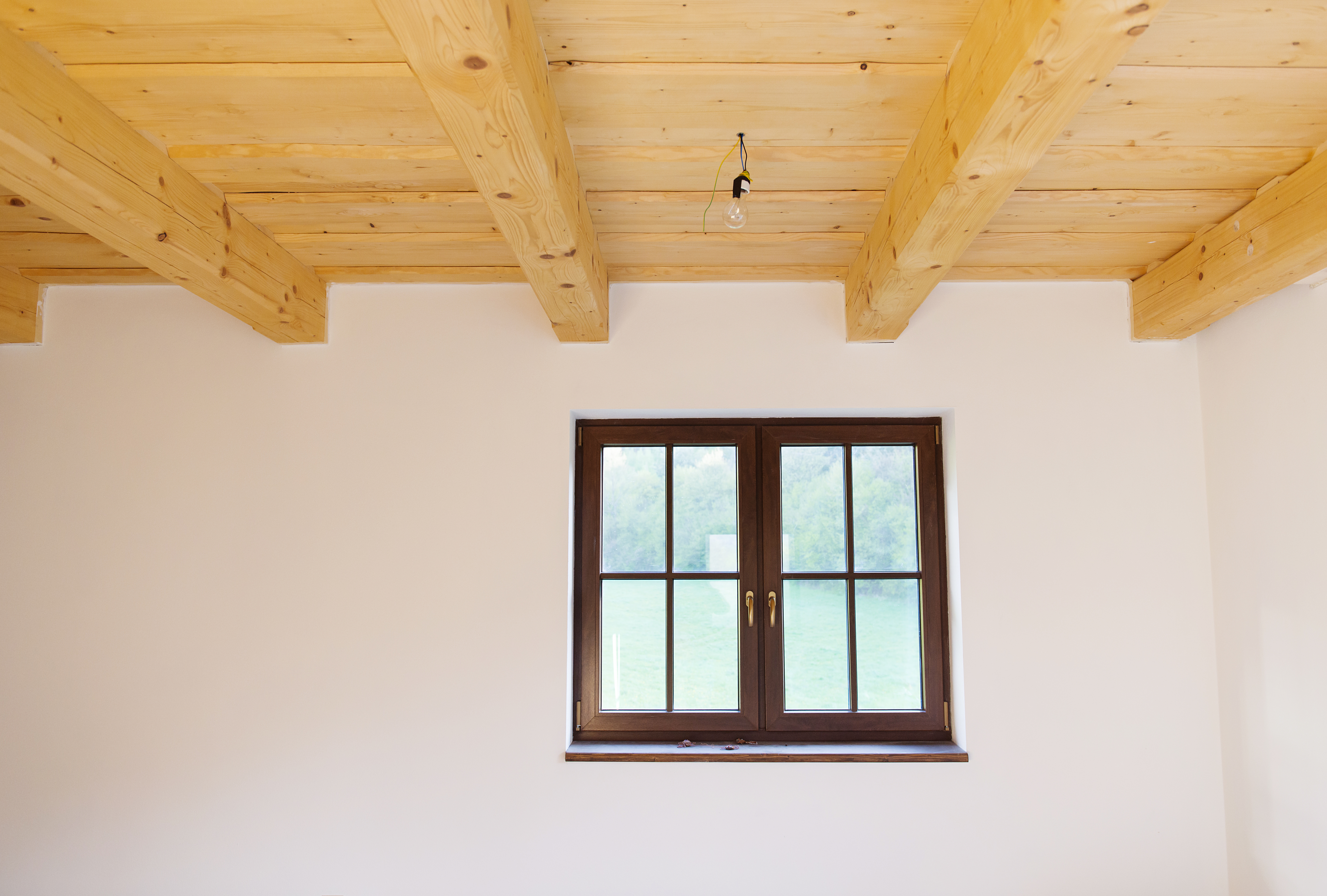 Windows and Doors